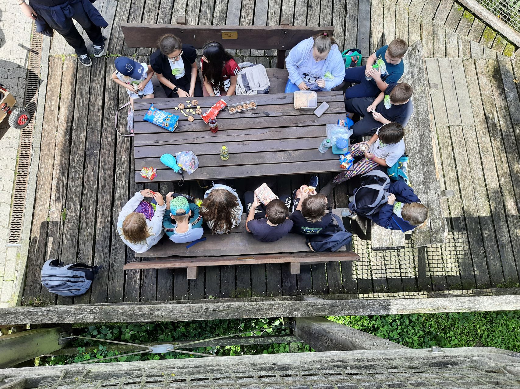 20250804_115339.jpg